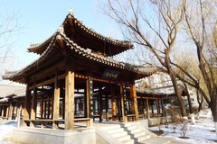 冬逛新华园（3）