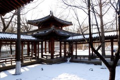 冬逛新华园（3）