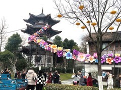 花灯会上年味浓2*武汉园博园
