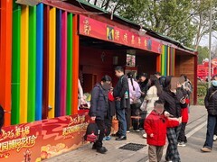 花灯会上年味浓3*武汉园博园