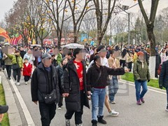 花灯会上年味浓5*武汉园博园