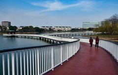 春节游银湖（续1）