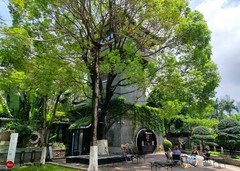 今天的新拍。