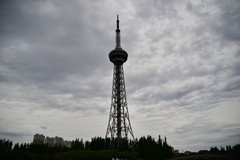 镜湖公园夏日美