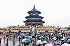 雨中天坛公园