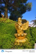 庐山东林寺游记--8