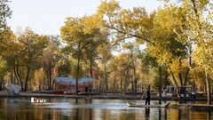 南疆行——阿克苏的刀郎部落（4）