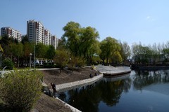 阳明公园春色（1）