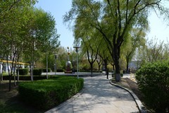 阳明公园春色（1）