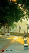 沙面的早晨。