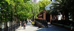 光影气象2605 苏州河蝴蝶湾
