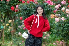 蔷微花园