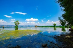 大理洱海风景 25
