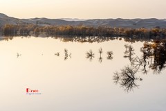 南疆行——尉犁葫芦岛的风景（32）