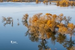 南疆行——尉犁葫芦岛的风景（32）