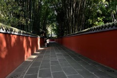 秋日印象【10】