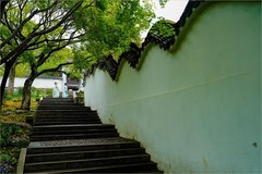 2026年第0353贴 -苏州虎丘公园纪实（0523）