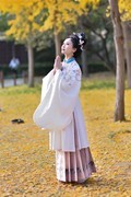 【视觉光影】古 风 人 像（7）