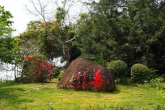 南山寺（4）