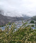 雾锁拉康镇【3】