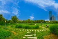 兰州黄河两岸风景12