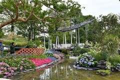 广州园博会掠影5