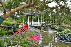 广州园博会掠影5