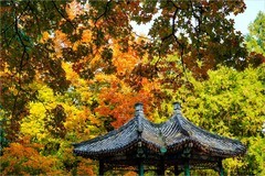 2025年第0821贴-地坛公园风光纪实拍（1125）