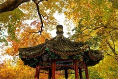 2025年第0821贴-地坛公园风光纪实拍（1125）