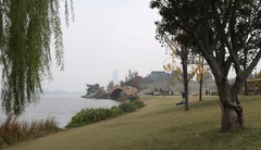 兴隆湖湿地公园随拍（三）