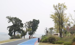 兴隆湖湿地公园随拍（三）