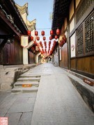 2025.4.21外出吸新鲜空气（7）