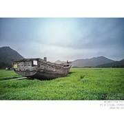 浙江泰顺 · 深山以小景（手机））