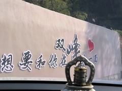 漫步星城 （980）景致如画