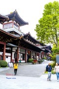 广西行——南宁青秀山（14）