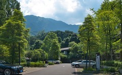 故地重游