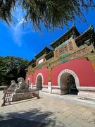 2025年-北海公园风光纪实拍-0857