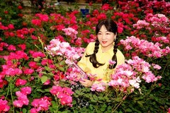 环境人像---花园美女！