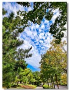 天凉好个秋（三）