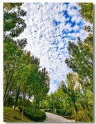 天凉好个秋（三）