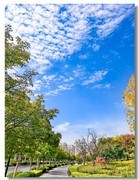 天凉好个秋（三）