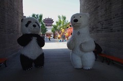 红高粱影视城速写--15P