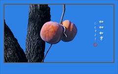 高枝挂满柿柿如意，鸟鹊恋食果果甜蜜