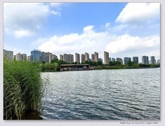 湖边漫步【丙午年-135】
