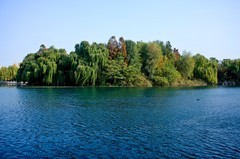 初冬——明湖风光（二）