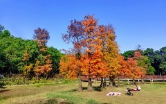 [26063] 番禺大夫山