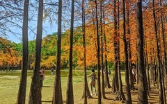 [26063] 番禺大夫山