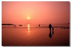 在海边（一）