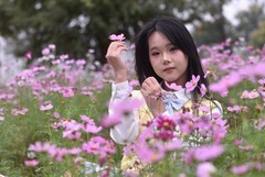 长沙洋湖花海，少女影像参拍（上）