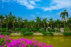 广州珠江两岸风景 12